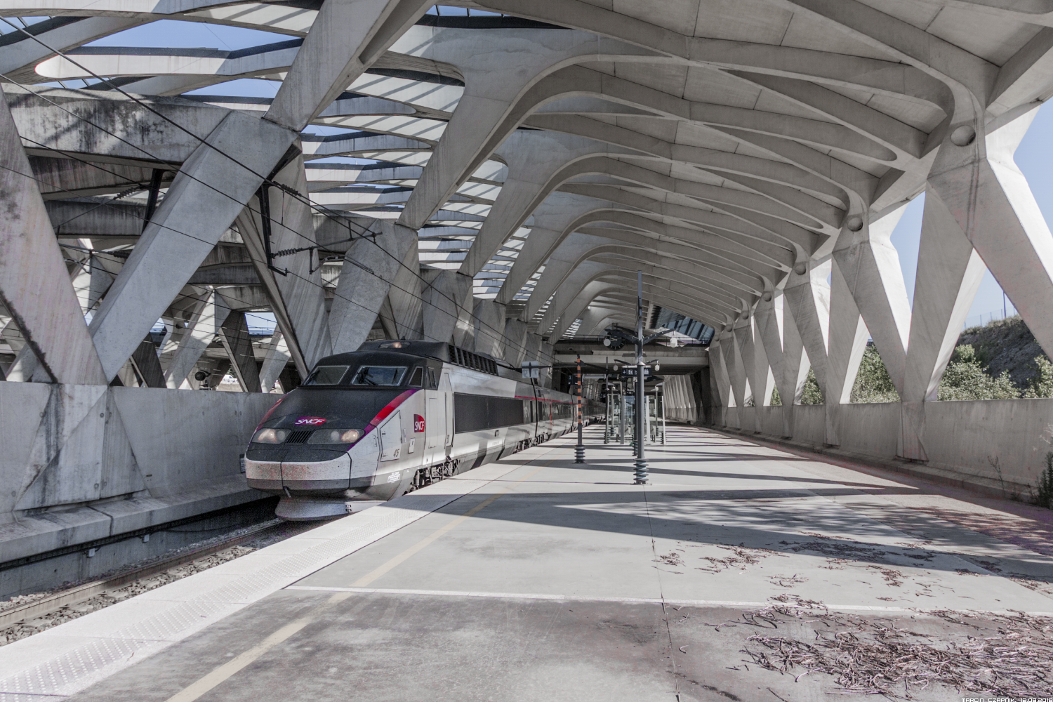 TGV Paris Sud-Est 45