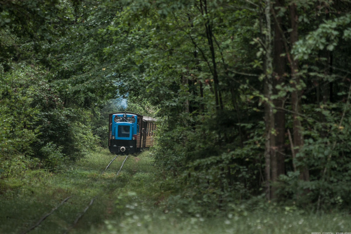 Bo ja m�wi jestem z lasu i ju�