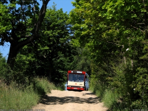 Jelcz M11 #2461