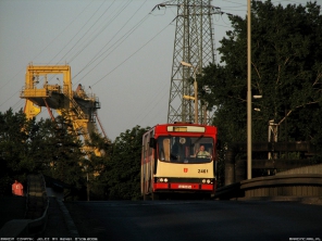 Jelcz M11 #2461