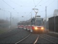 Brno L��e� Mifkova