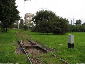 P�tla Kliniczna