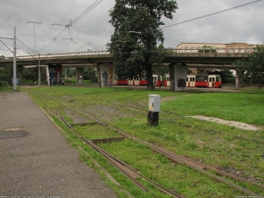 P�tla Kliniczna