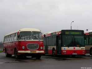 Jelcz 043 #23461