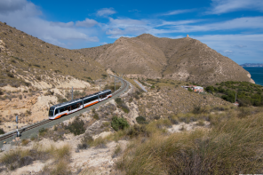 Trenes duales